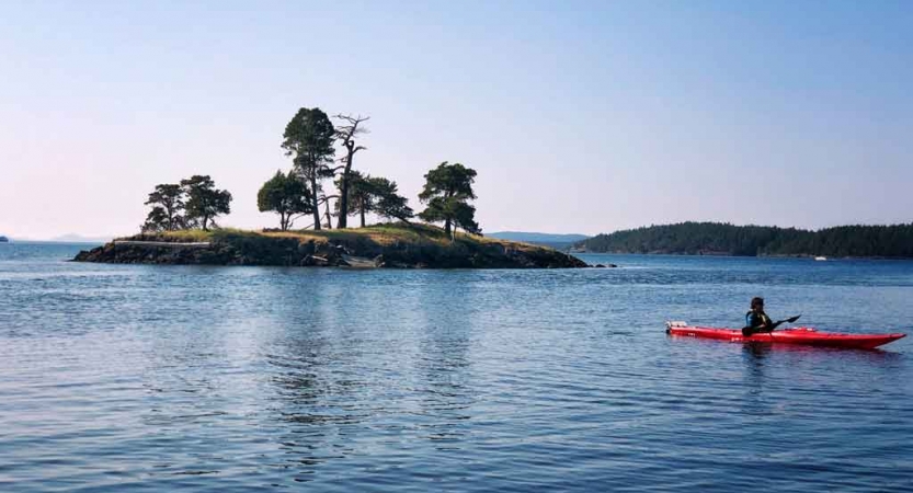 adults only sea kayaking trip in the pacific northwest